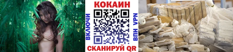 купить наркотик  Снежногорск  КОКАИН Эквадор 