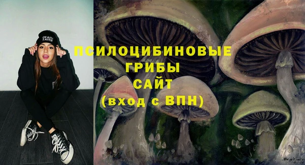 МДПВ Алексеевка