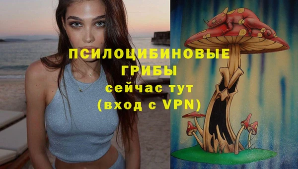 mdpv Алзамай