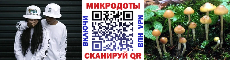 blacksprut ссылки Снежногорск Псилоцибиновые грибы MAGIC MUSHROOMS