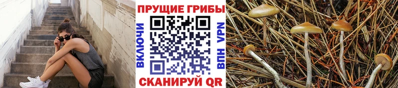 Псилоцибиновые грибы MAGIC MUSHROOMS Снежногорск